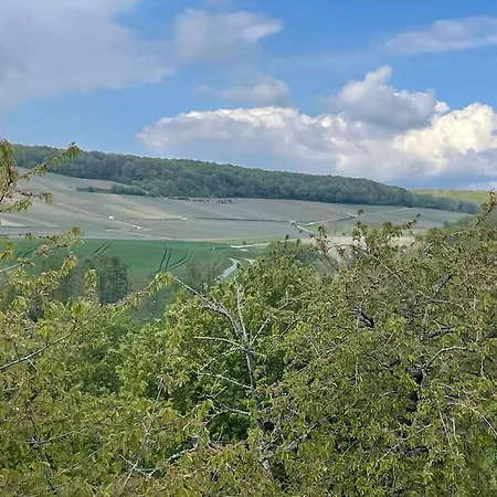 Maison D'Hotes Baslieux-sous-Châtillon