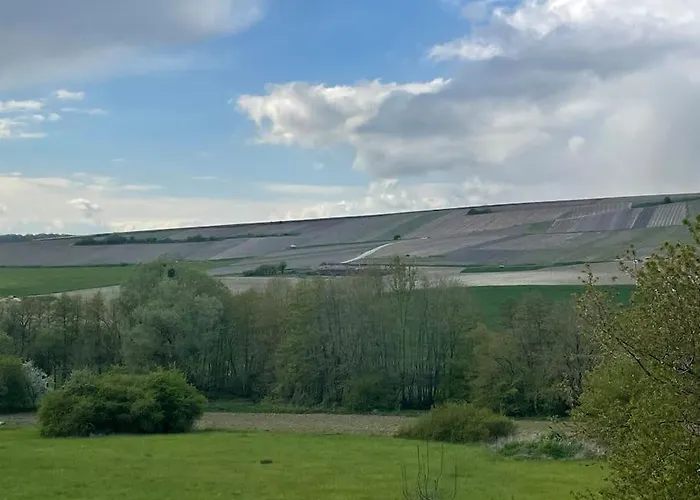 Maison D'Hotes Dom wakacyjny Baslieux-sous-Chatillon