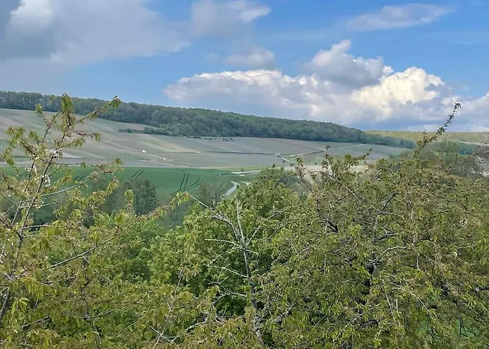Maison D'Hotes Baslieux-sous-Chatillon